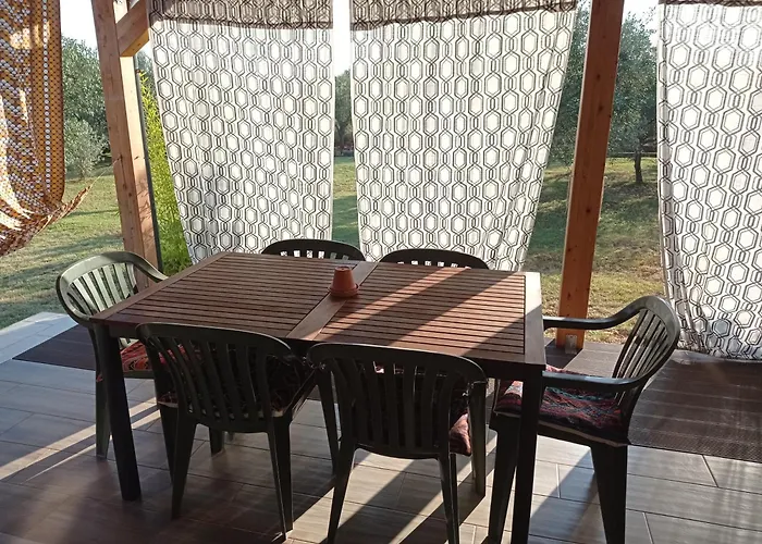 Apartment Nature Eco-friendly Pet-friendly
