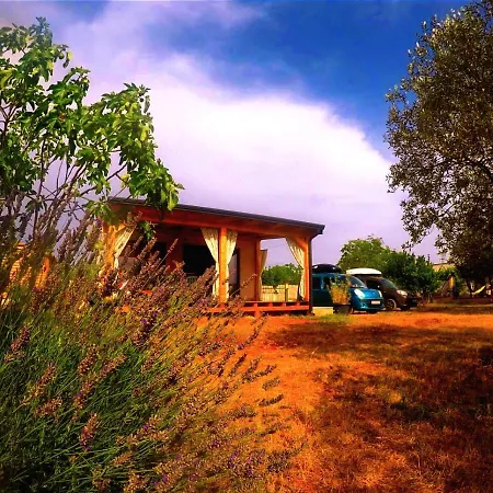 Apartment Nature Eco-friendly Pet-friendly