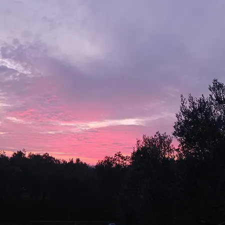 Appartamento Nature Eco-friendly Pet-friendly