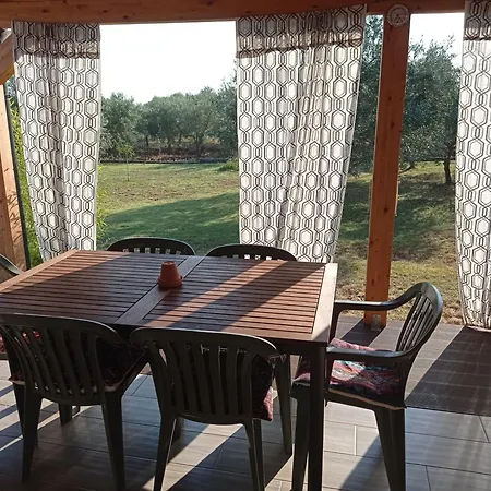 Nature Eco-friendly Pet-friendly *